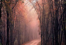 NG28官网:争议!39岁梁文博:打假球是被打压被胁迫 被终身禁赛很委屈很愤怒.