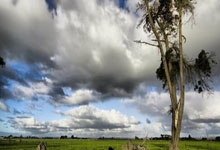 NG28官网:争议!39岁梁文博:打假球是被打压被胁迫 被终身禁赛很委屈很愤怒.